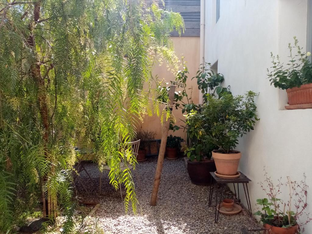 L'itinérante photo 4