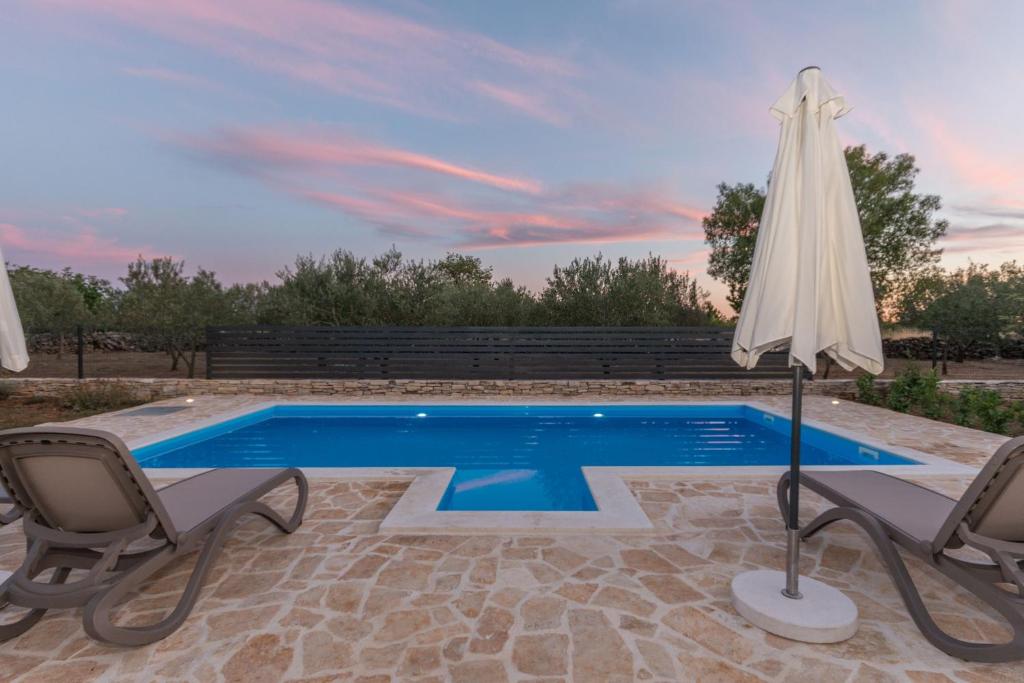 Villa Vitis photo 2