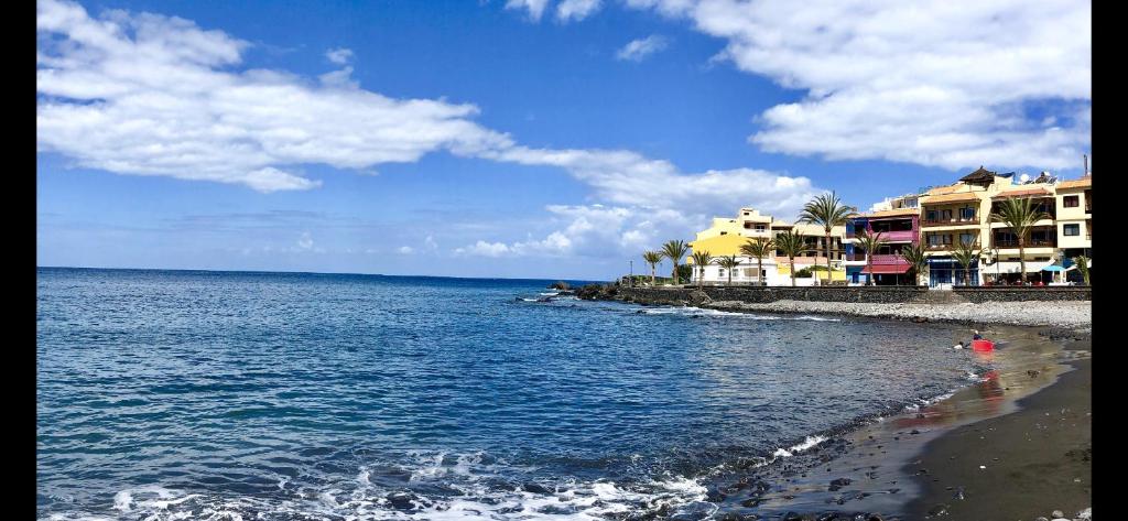The Gomera Lounge photo 2