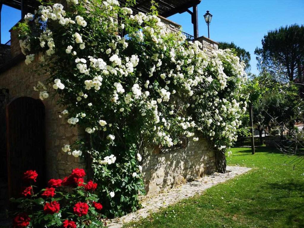 Casale dei Puppi una bellissima casa rustica photo 1