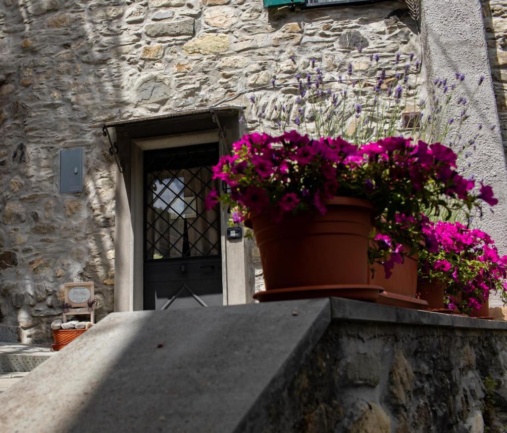 Casina Matilde photo 1