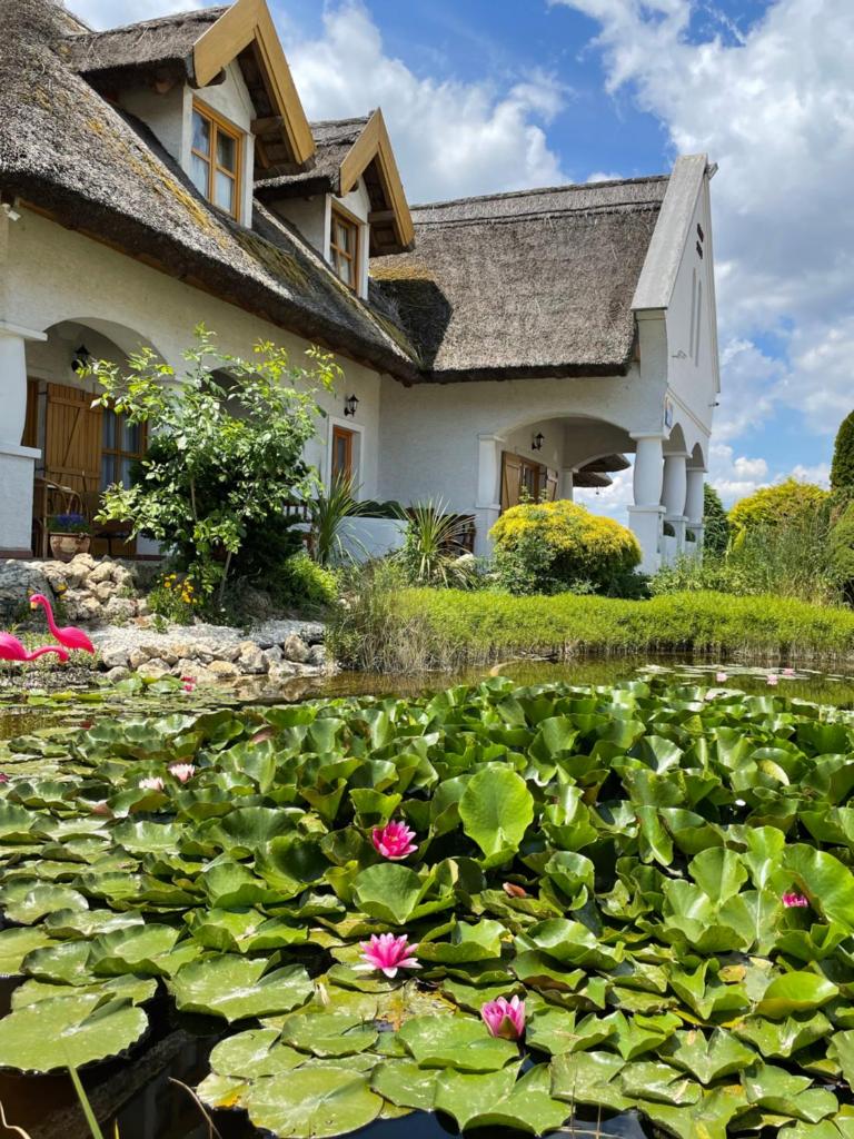 Rigótanya Relax & Wellness Bükfürdő photo 3
