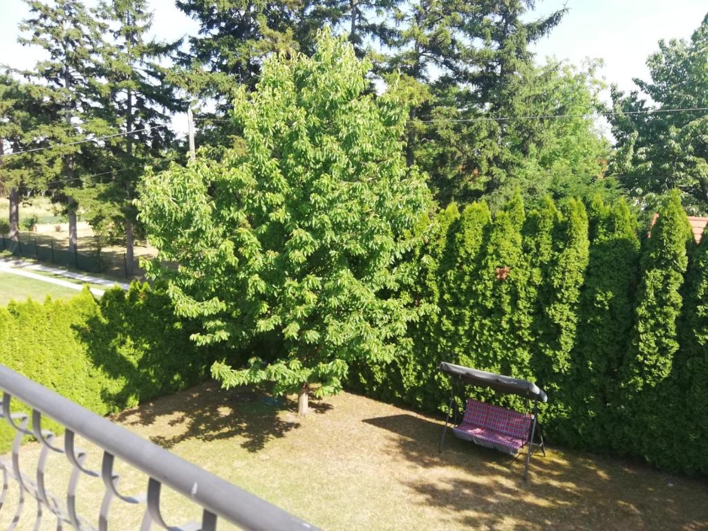 Levente Apartman photo 4