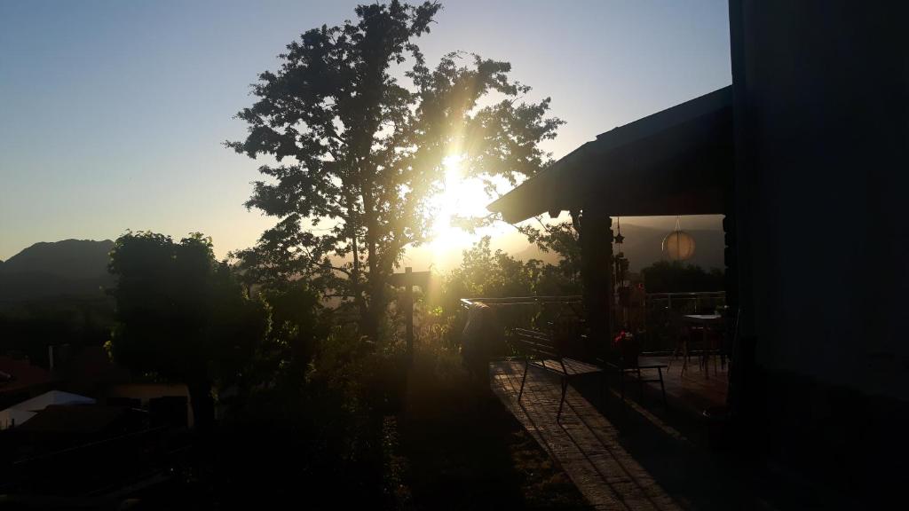 Alla tana del bianconiglio photo 1