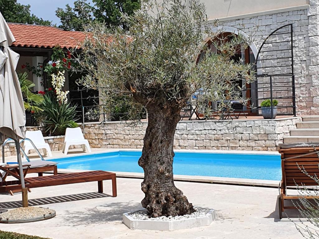 Villa Histra photo 1
