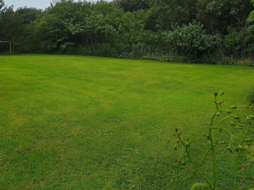 Five-Bedroom Holiday home in Vestervig 2 photo 1