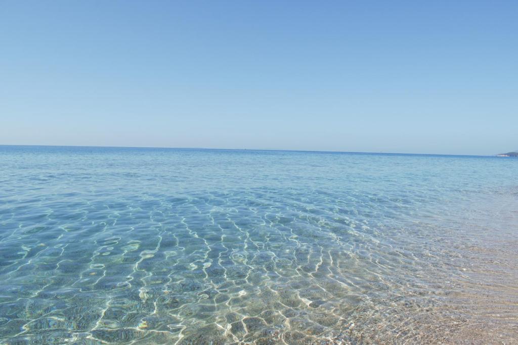 Mirto Beach Hotel & Restaurant photo 4