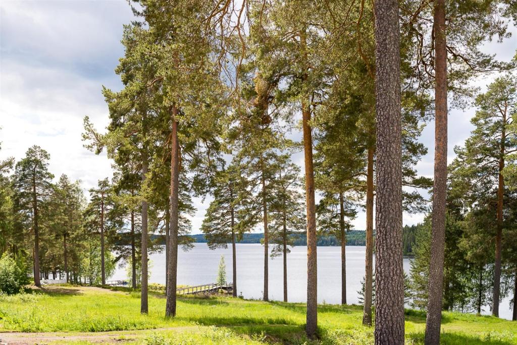 Rämsbyns fritidsby, nära Romme Alpin photo 3
