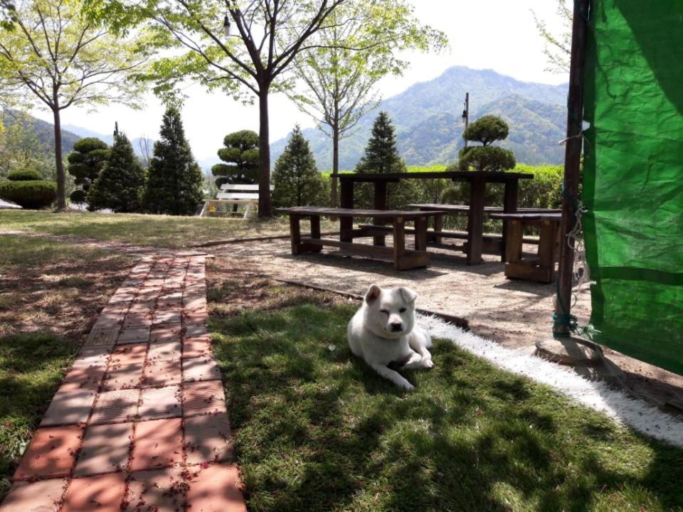Chamjoeun Pension photo 2