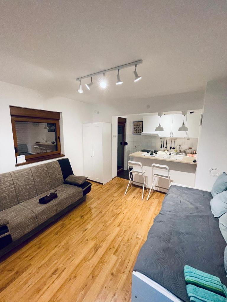 Sokobanja Apartman Aleksa photo 4