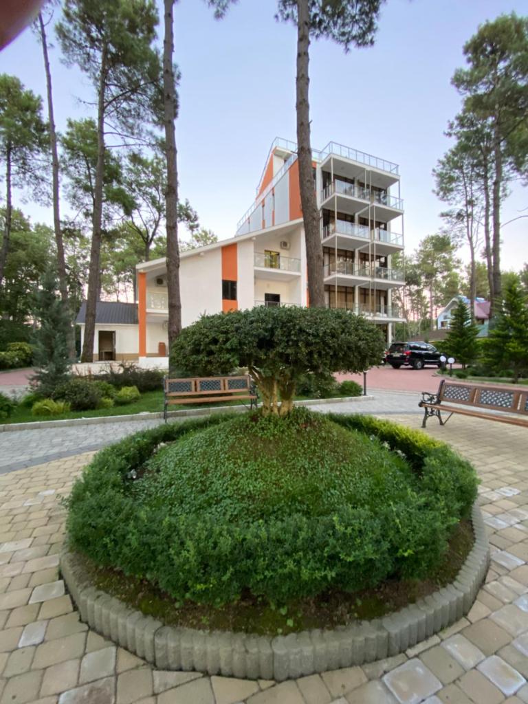 Buxus Hotel Shekvetili - Tap to explore photos