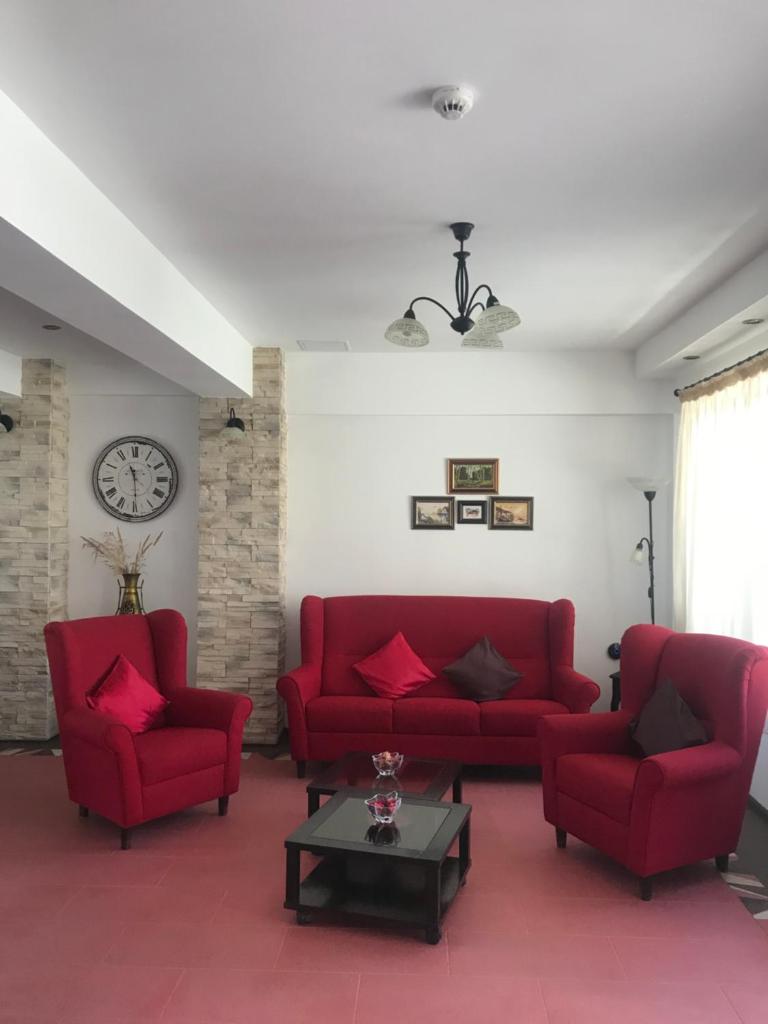 Vila Medeea photo 4