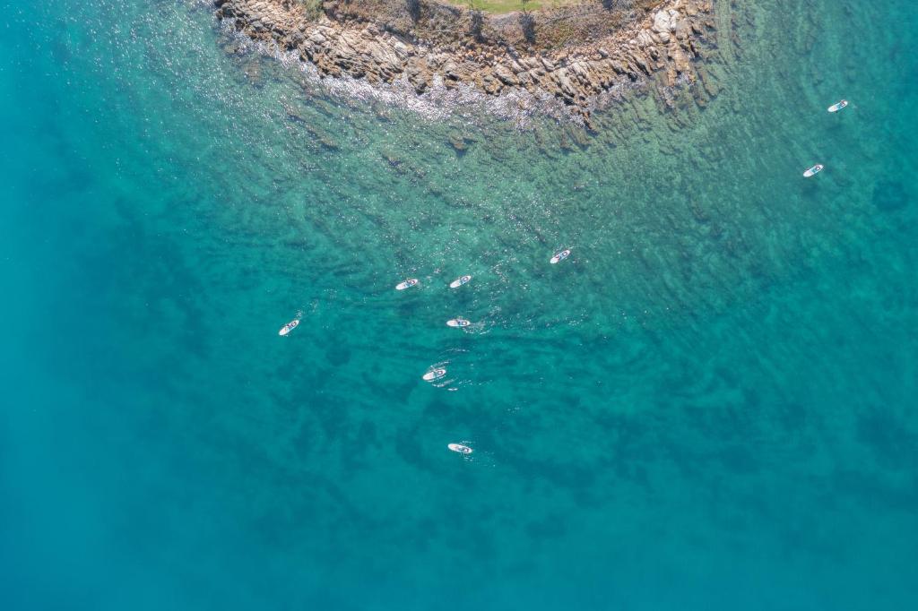 Rixos Premium Bodrum photo 3