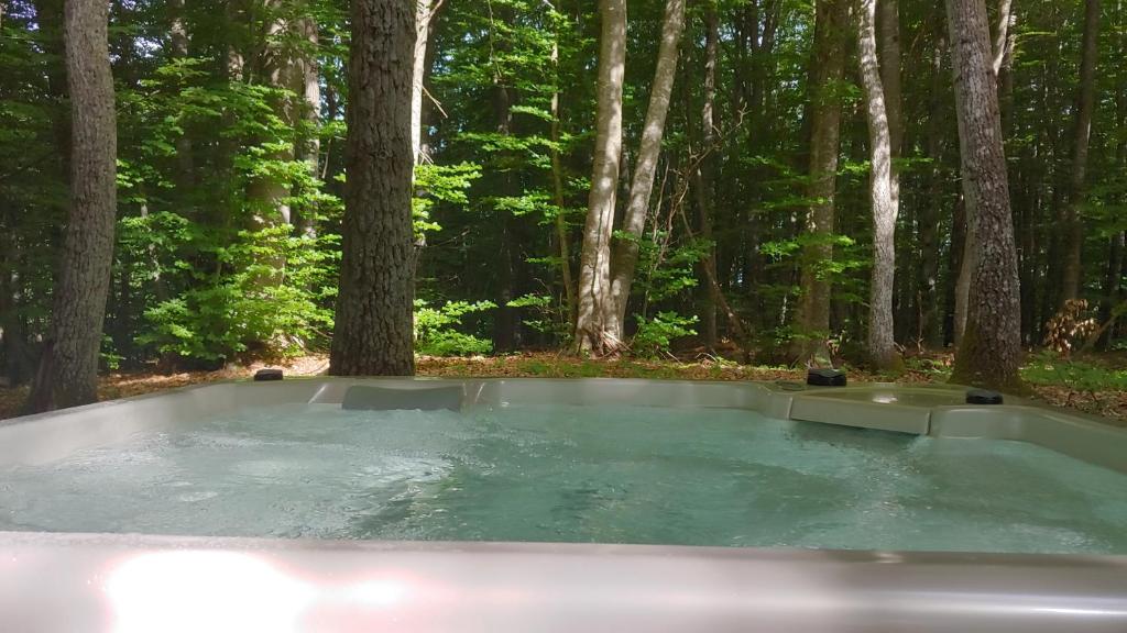 Treehouse Lika 2 photo 2