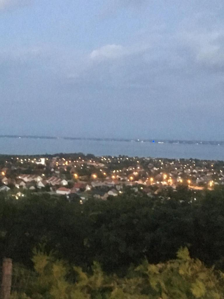Erdei házak photo 2
