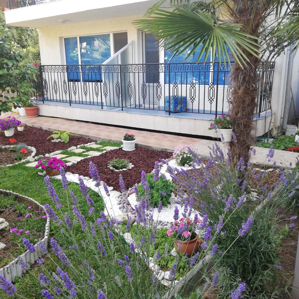 Albatros 2 Family Hotel photo 1