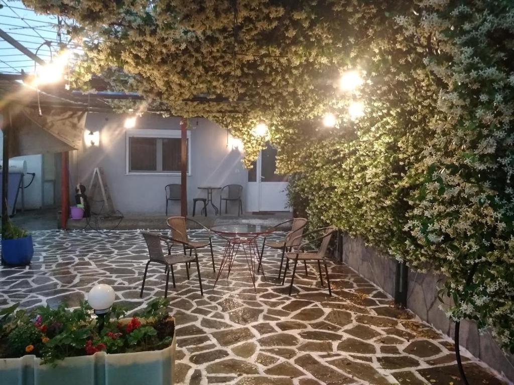 Green house - Apartment in Aridaia-Loutra Pozar photo 2