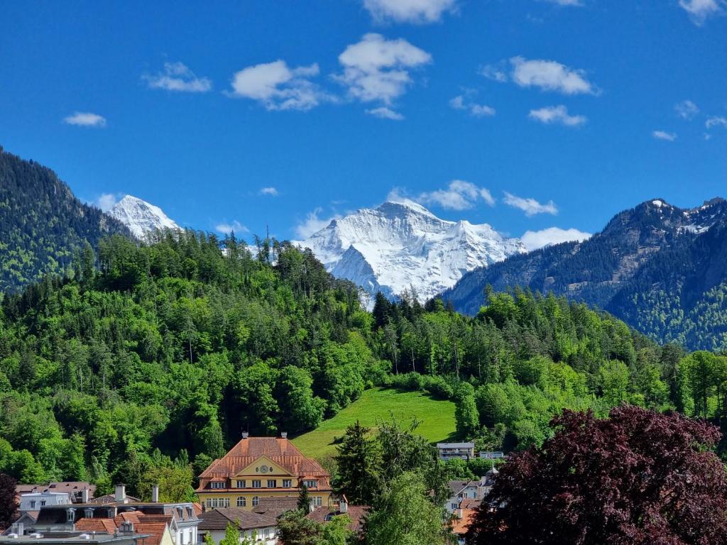 Hotel Bernerhof photo 1