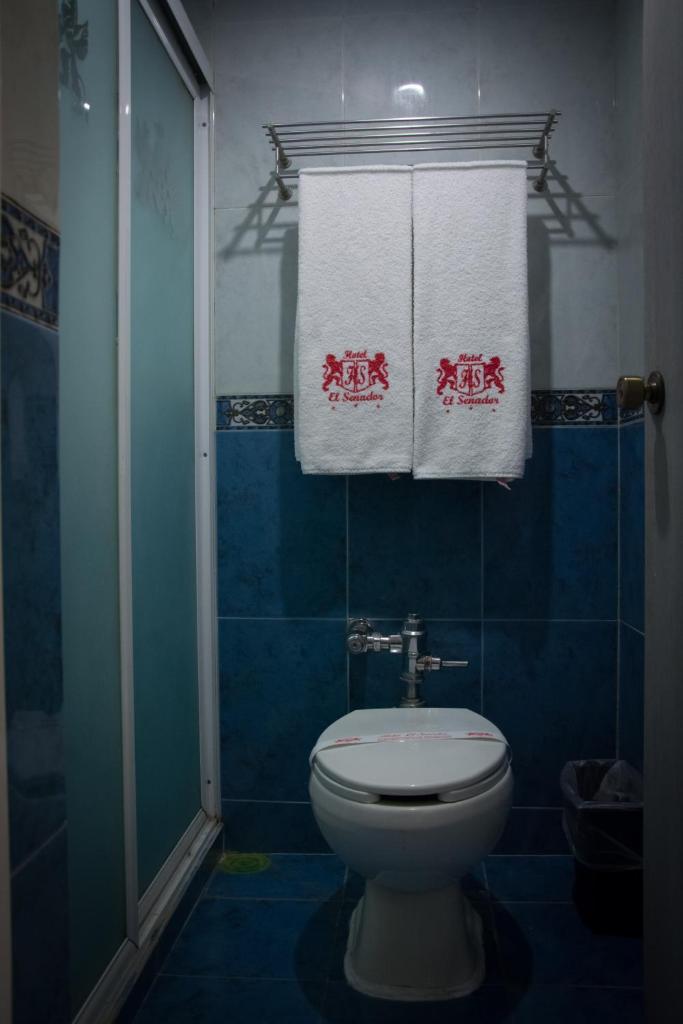 Двухместный (Двухместный номер Делюкс с 1 кроватью и ванной), Hotel El Senador