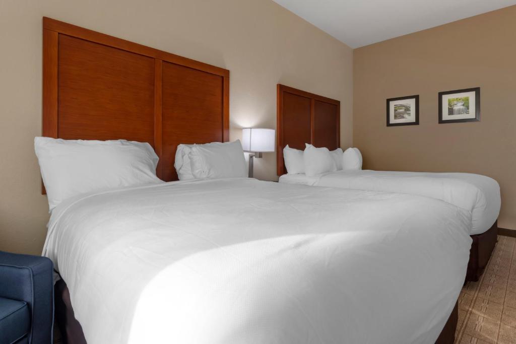 Comfort Inn & Suites photo 4