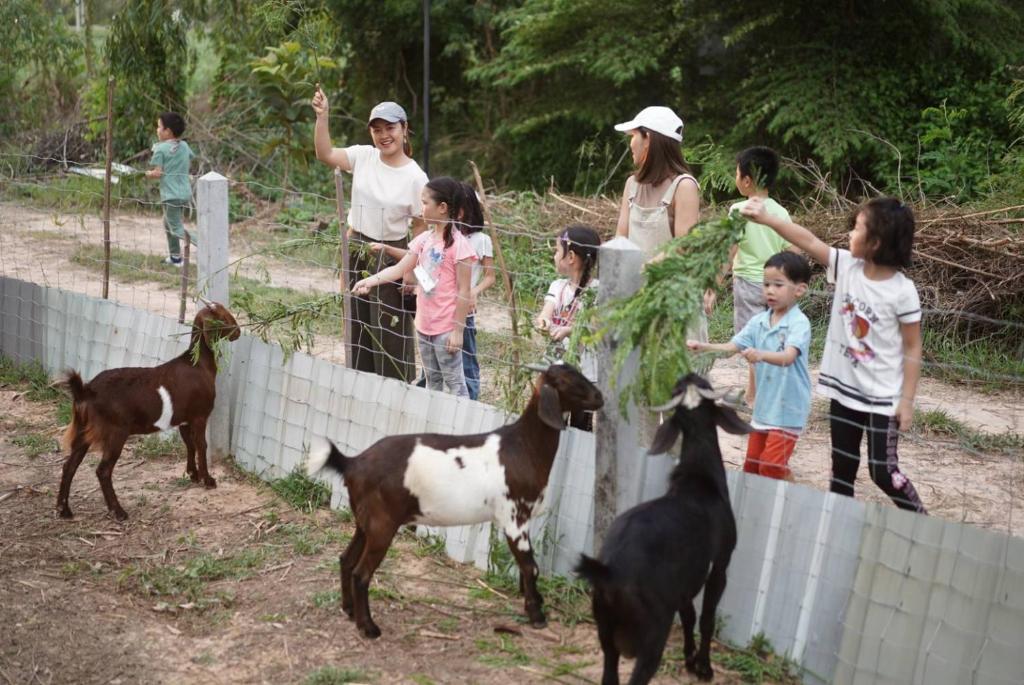 Xaiyong Resort - ไทรโยงรีสอร์ท photo 4