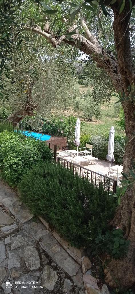 Amore a prima vista b&b photo 2