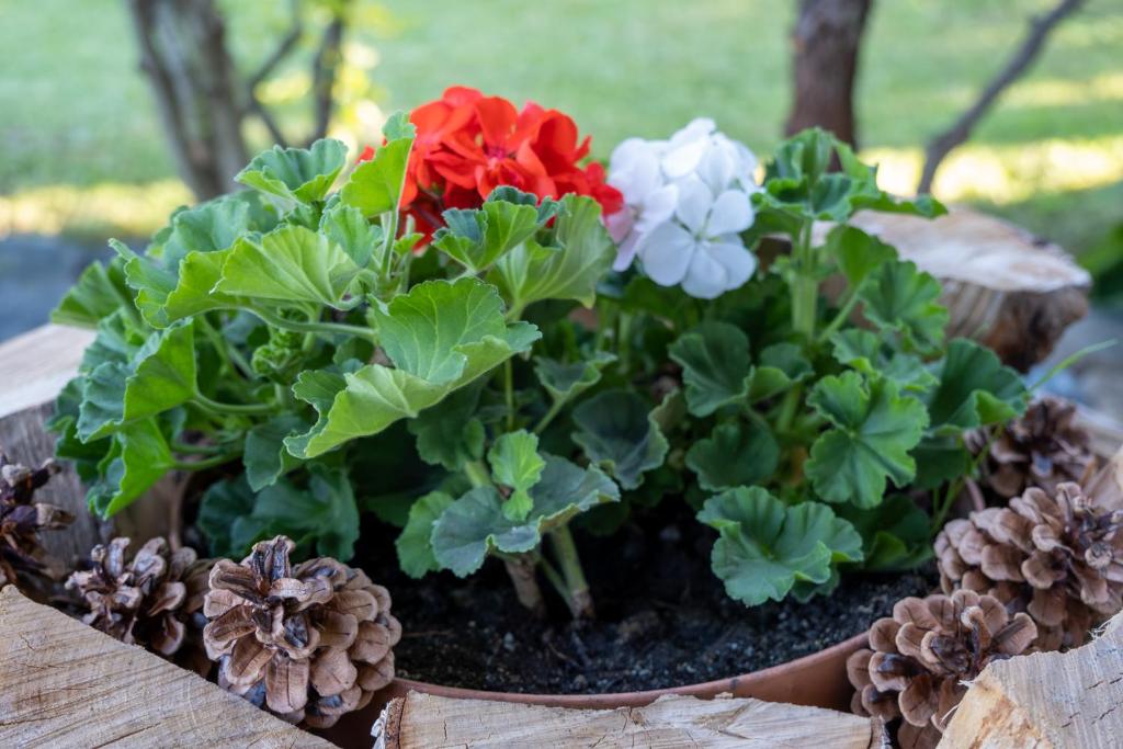 Penzion Na Vyhlídce photo 2
