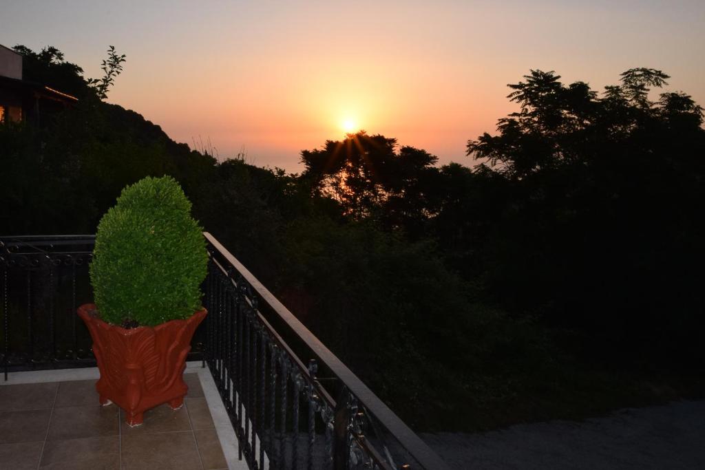 D & K Guest House photo 4