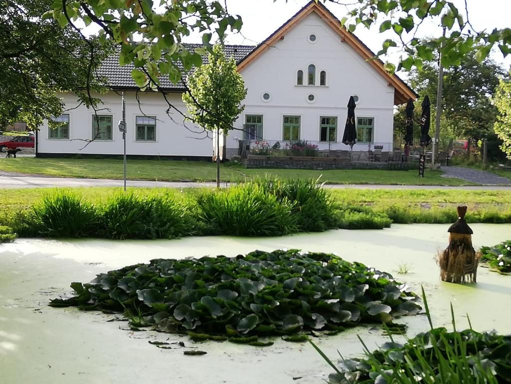 Pension Sodomkův statek Czap photo 2
