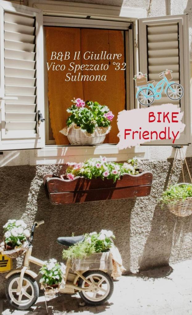 B&B Il Giullare photo 3