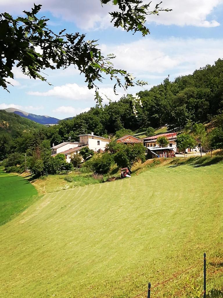 Agriturismo Casale Sant'Antonio photo 3
