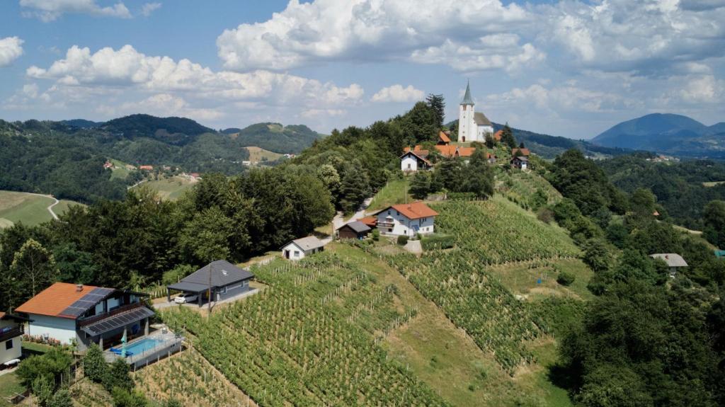 Vineyard Paradise Senica photo 1