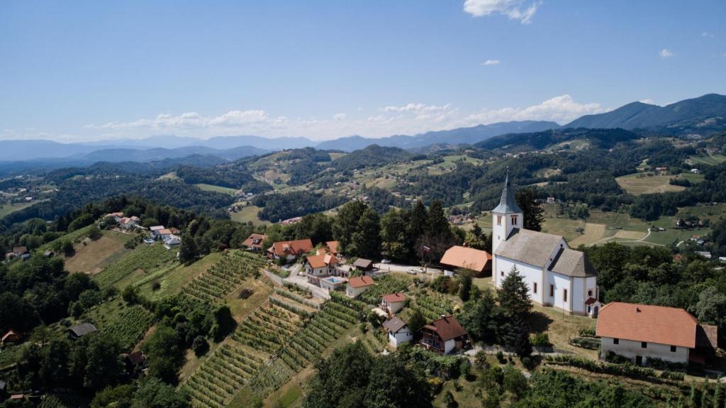 Vineyard Paradise Senica photo 2