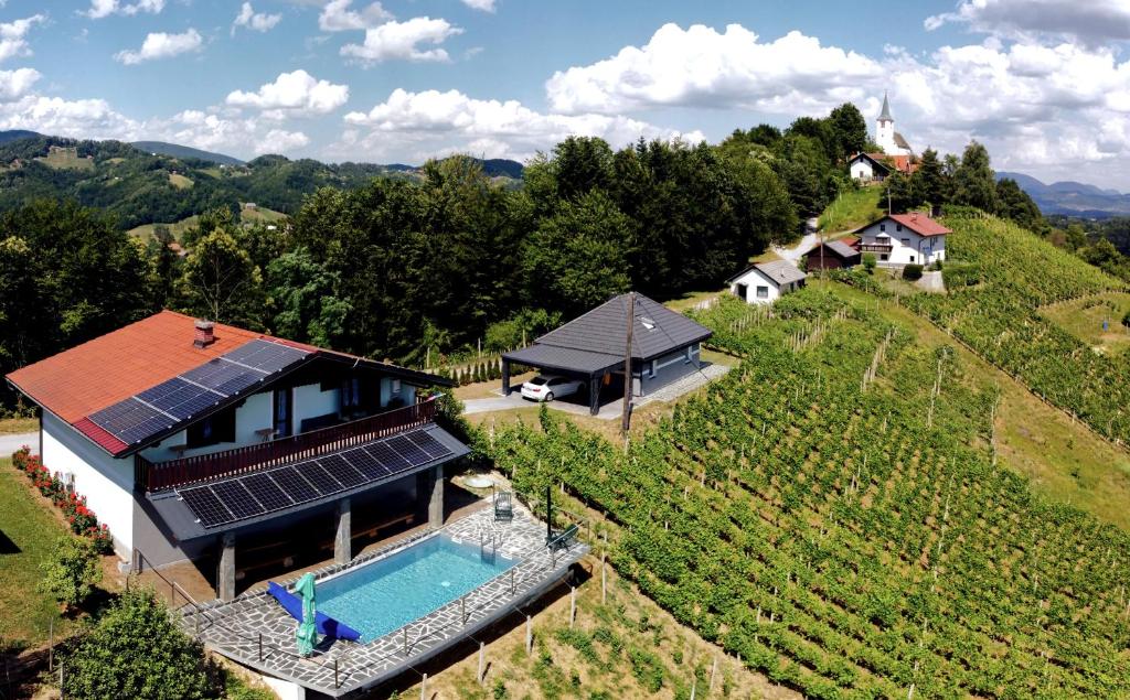 Vineyard Paradise Senica