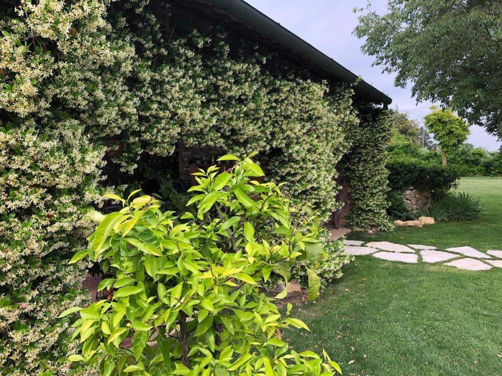 B&B BAGOLARI photo 4