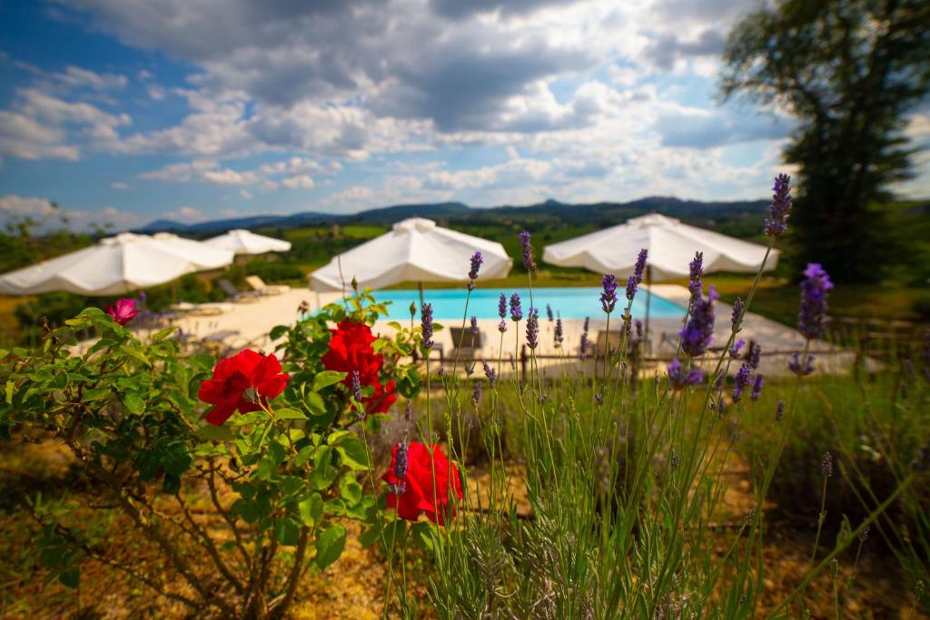 Terra Antica Apartments - La Fornace photo 1