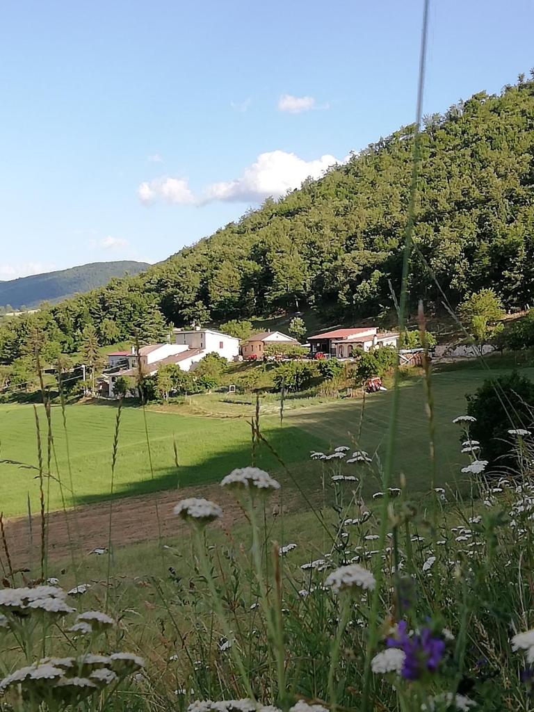 Agriturismo Casale Sant'Antonio photo 2