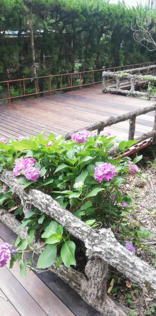 Suijin Hotel - Vacation STAY 23120v photo 4