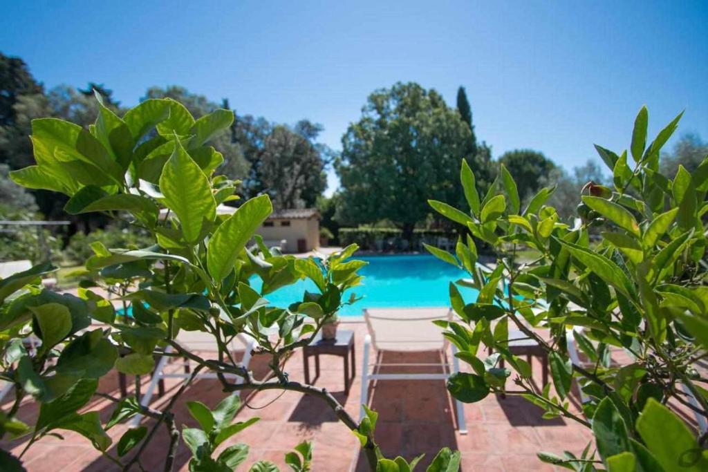 Villa privata con piscina firenze chianti photo 2