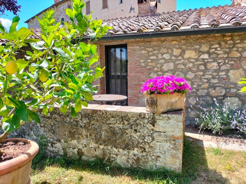 B&B Palazzo a Merse photo 1