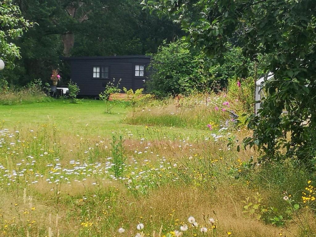 Het Nijhuisje photo 3