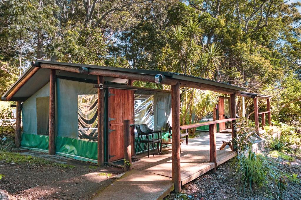 Binna Burra Rainforest Campsite photo 1