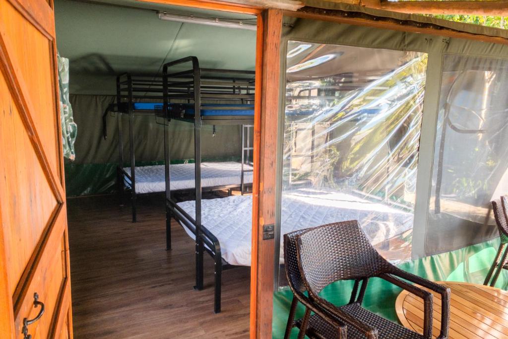 Binna Burra Rainforest Campsite photo 2