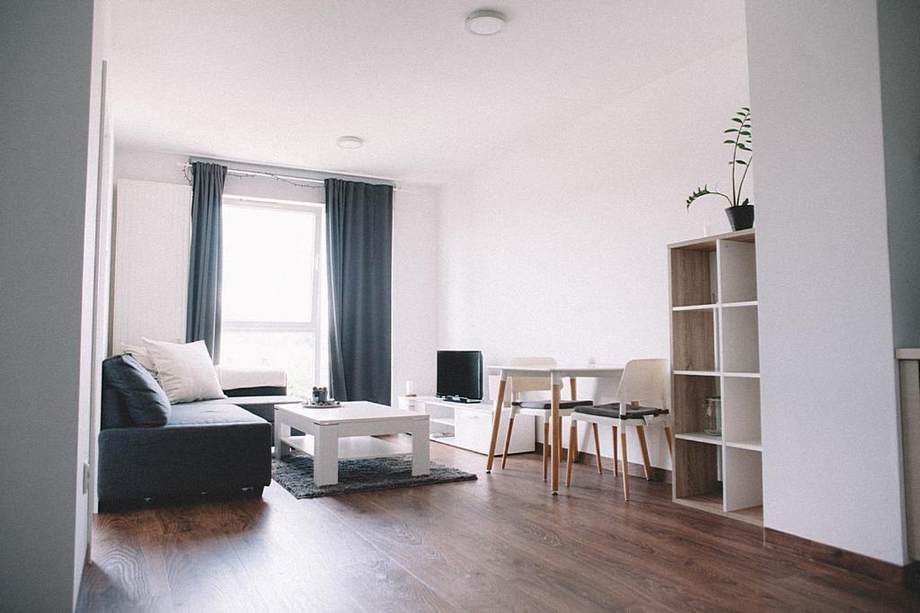 Апартаменты (Апартаменты-студио), Apartament Cube