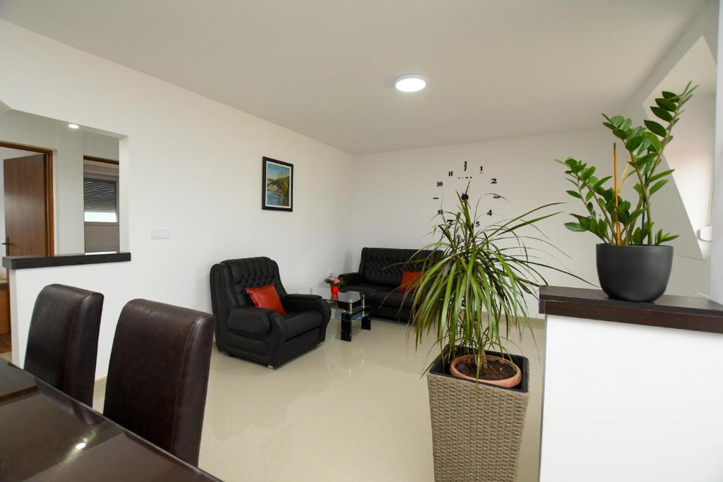 Apartmani Pakalovic photo 4