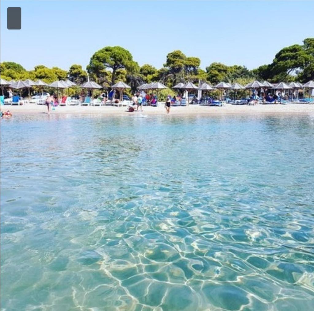 Athens Villa Artemis pool Sea Airport photo 4