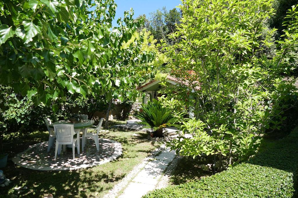 Apartments Davorka photo 1
