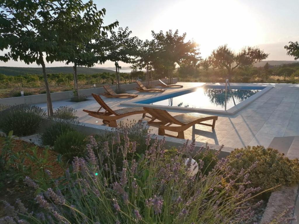 Villa Jelena photo 3