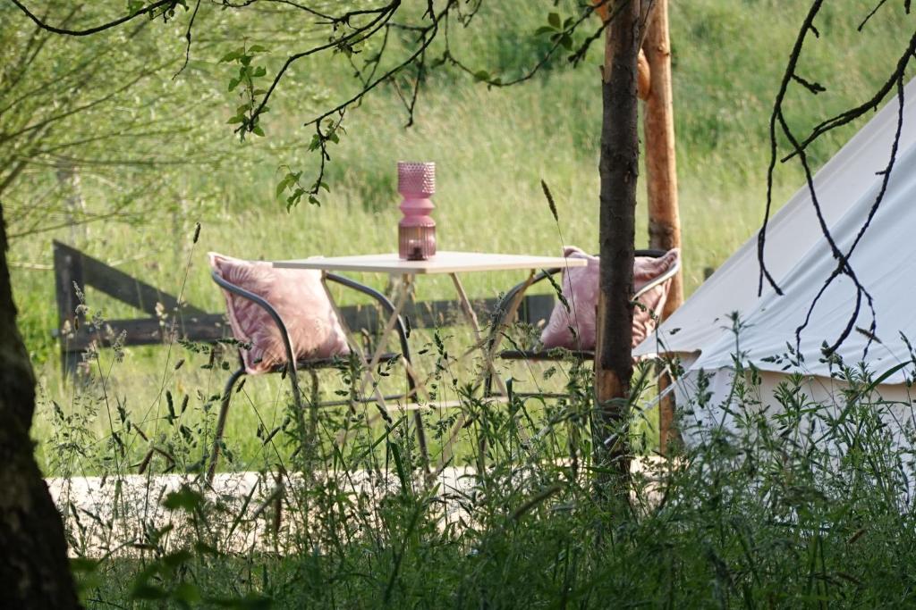 Glamping du Moulin photo 1