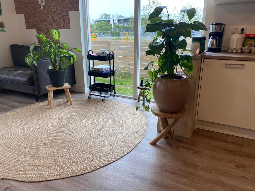 Warm welkom! Zeer ruime privé studio met tuin photo 1